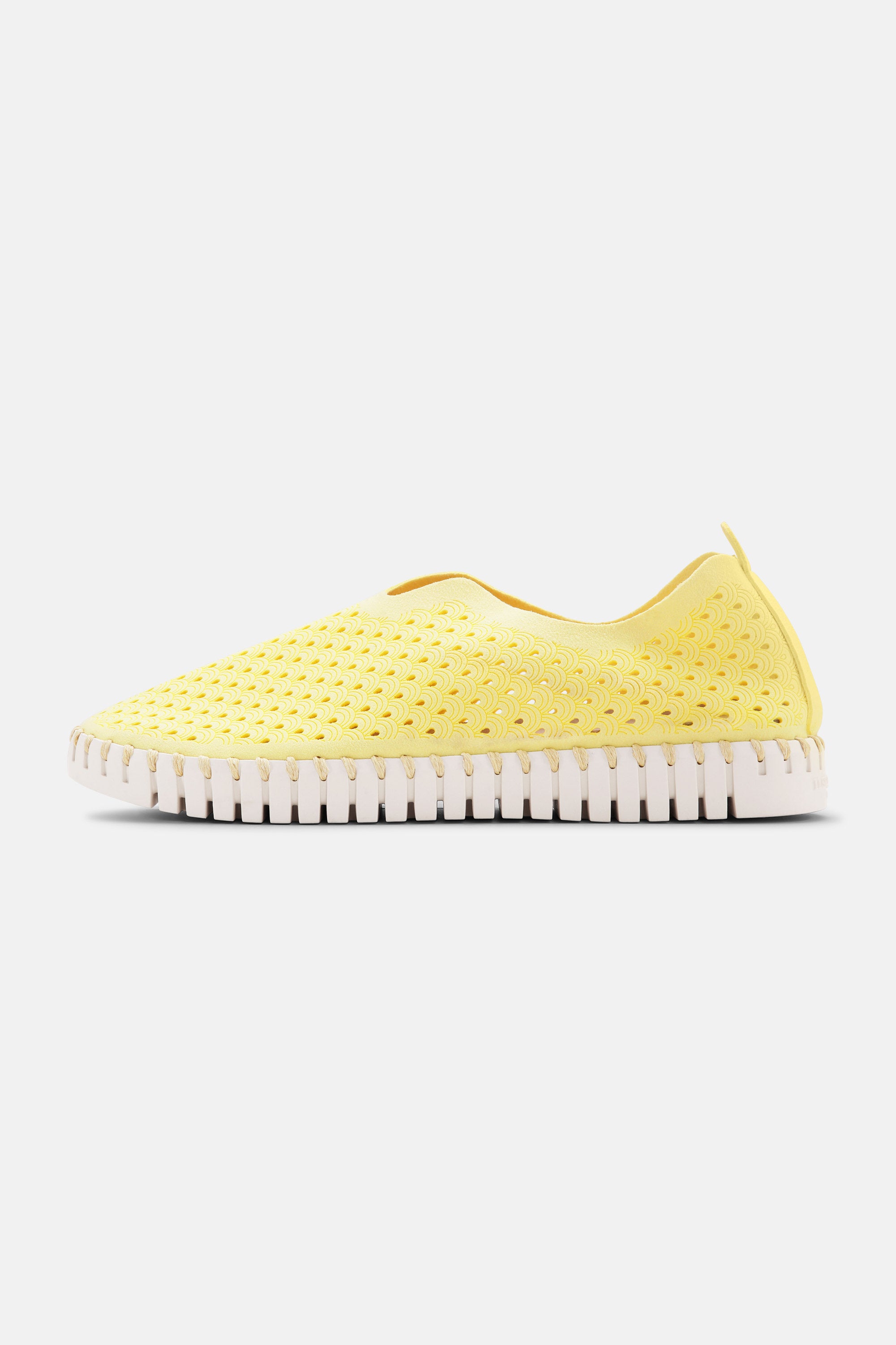 Tulip Slipper - Lemon Drop
